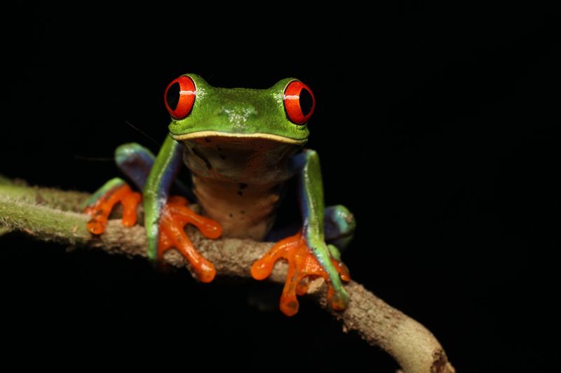 Costa Rica