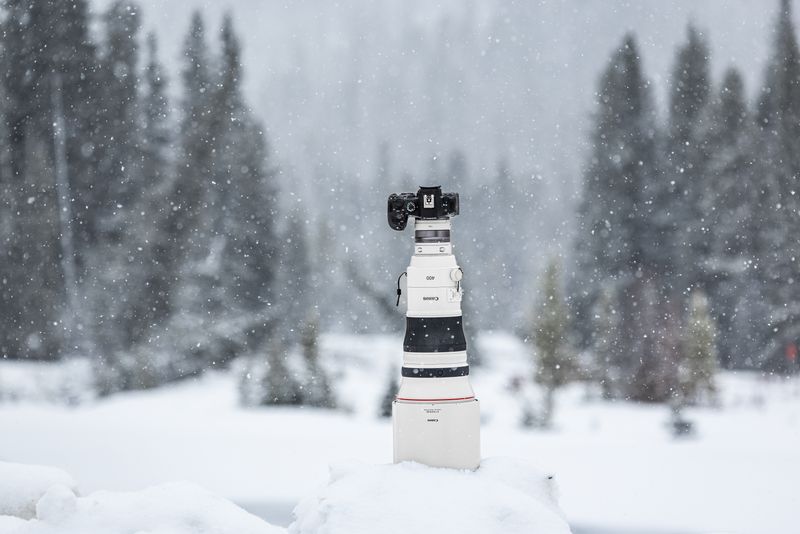 Canon RF 400 mm f/2.8 L IS USM